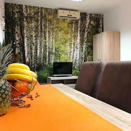 Lana Apartman Podgorica